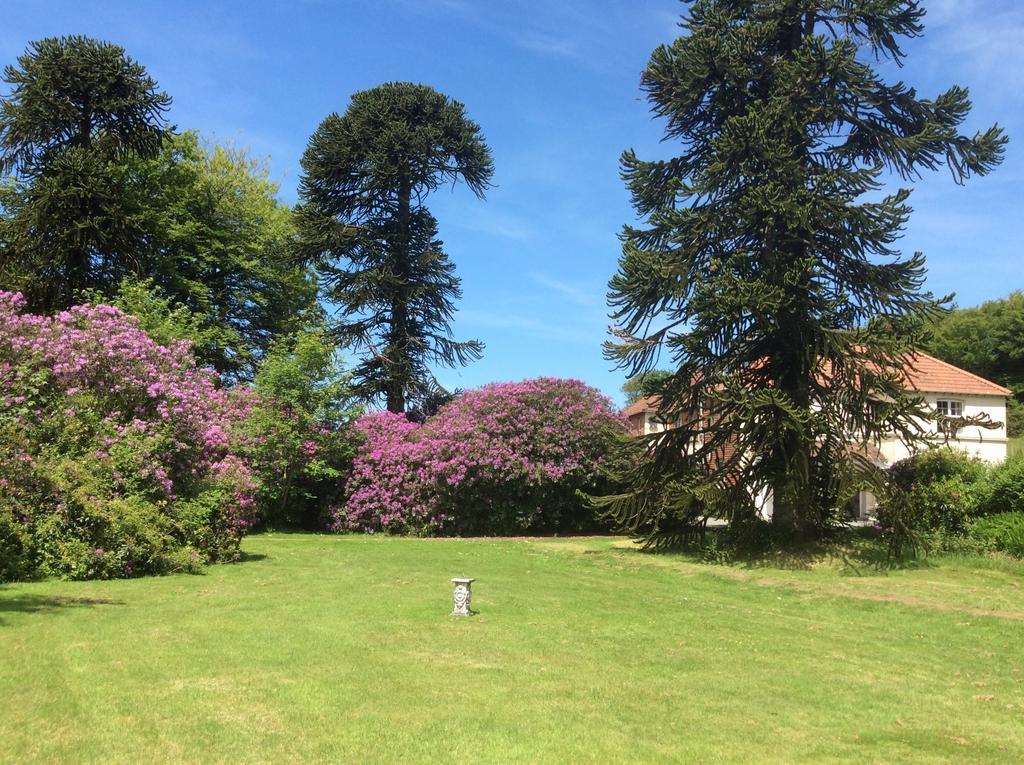 Moorlands Bed & Breakfast Parracombe Dış mekan fotoğraf