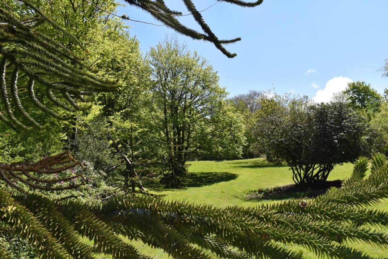 Moorlands Bed & Breakfast Parracombe Dış mekan fotoğraf