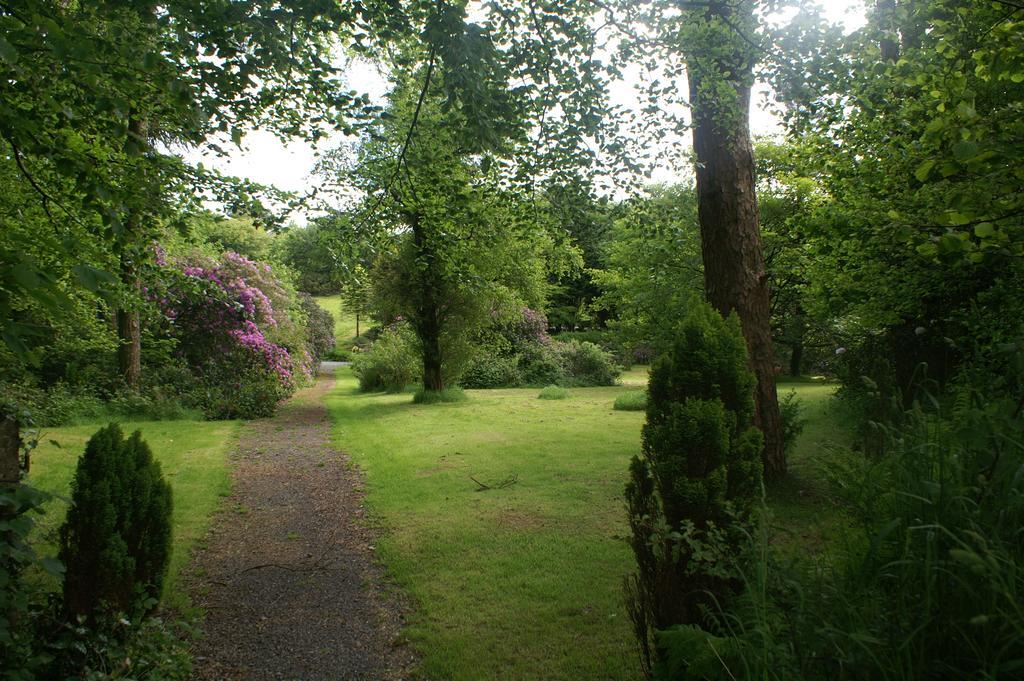 Moorlands Bed & Breakfast Parracombe Dış mekan fotoğraf