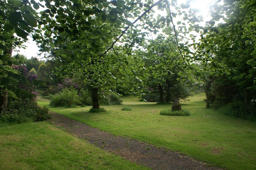 Moorlands Bed & Breakfast Parracombe Dış mekan fotoğraf